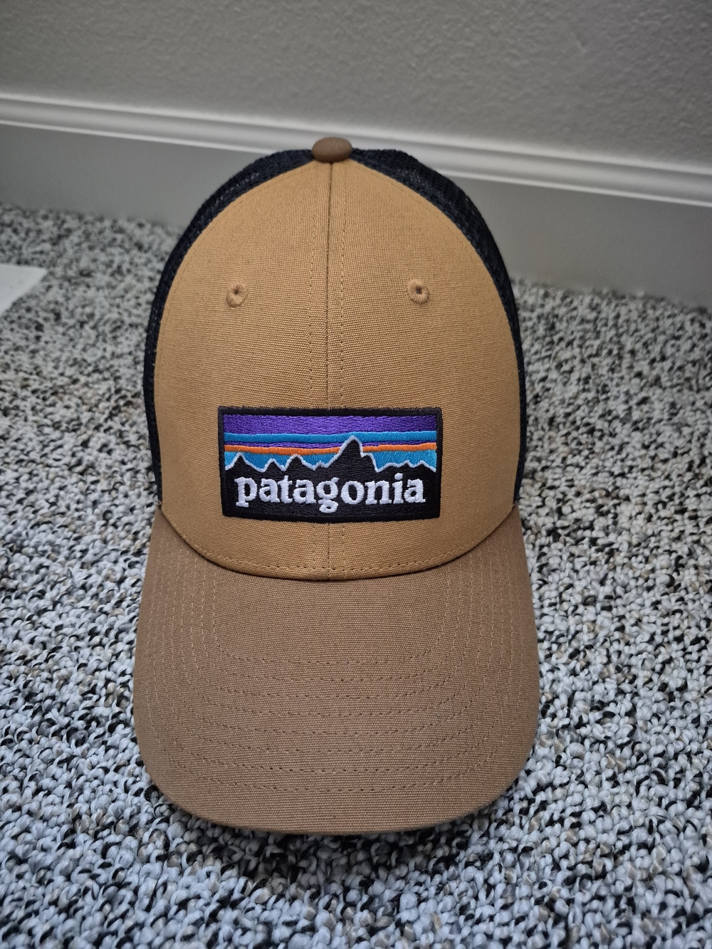 Patagonia Brown Trucker Hat with Multicolor Logo